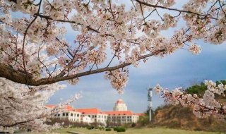 中国海洋大学 中国海洋大学信息门户