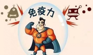 免疫力差怎么办（成人体质差免疫力差怎么办）