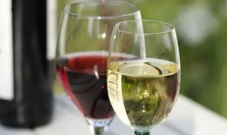 红葡萄酒和白葡萄酒的区别 女士喝白葡萄酒还是红葡萄酒