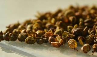 例假不能吃什么 例假不能吃什么食物