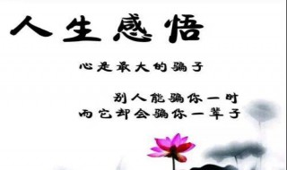 生活不易经典语录 生活不易经典语录大全