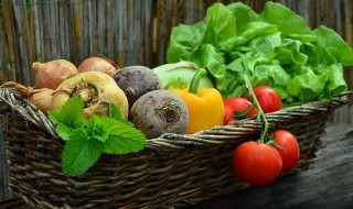 9月适合种什么菜（9月适合种什么菜种子）