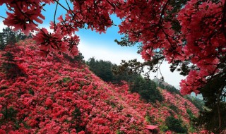 木兰云雾山在哪里 木兰云雾山风景区在哪里