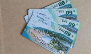 园博园老年门票多少钱（园博园老年门票多少钱一张）