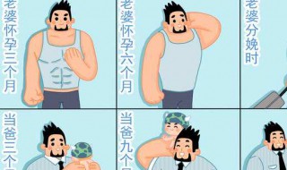 怀孕后老公发胖了请问是什么情况