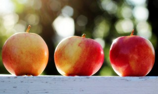 肾病忌三种水果（肾病忌三种水果肾结石伯何以食地波罗吗）