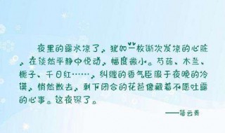 一个人安静淡然句子 一个人安静淡然句子孤独图片