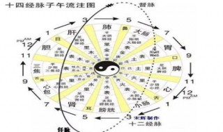 十二经络时间表 十二经络时间表作用
