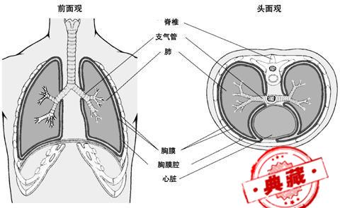 结核性胸膜炎的症状 结核性胸膜炎的症状及治疗