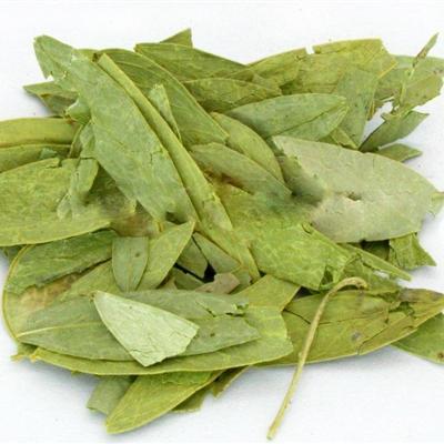 番泻叶泡水喝的功效有哪些（番泻叶泡水喝的功效有哪些禁忌）
