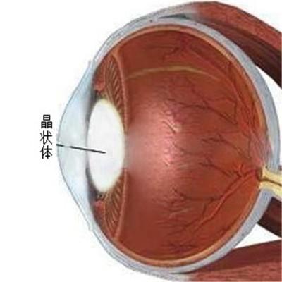 眼睛看东西有重影是怎么了（眼睛看东西有重影什么情况）