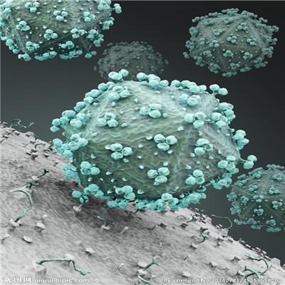 结膜炎严重吗（眼睛结膜炎严重吗）
