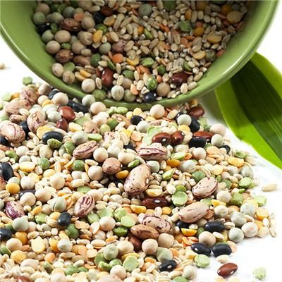 肾阳虚吃什么食物最好 冬天肾阳虚吃什么食物最好