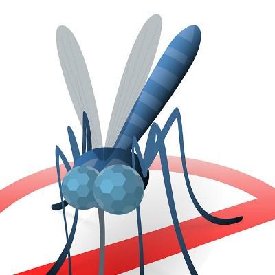 得了登革热病怎么办 登革热症状可以治愈吗