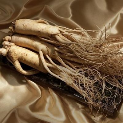 高丽参的功效与作用有哪些（高丽参的功效与作用是什么）