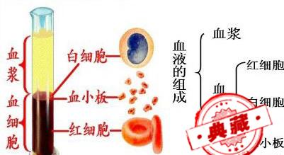 如何解读血常规化验单 如何解读血常规化验单的结果