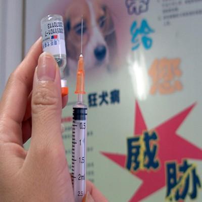 狂犬疫苗注意事项是什么 狂犬疫苗要注意什么事项