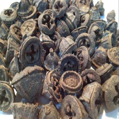 一口钟有什么功效与作用（一口钟功效与作用及食用方法）