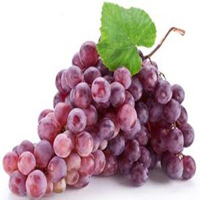 酵母菌过敏不能吃什么 对酵母菌过敏不能吃什么
