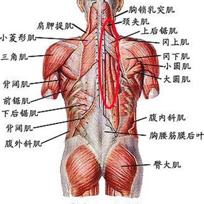 尿床是怎么回事 尿床是怎么回事 青少年