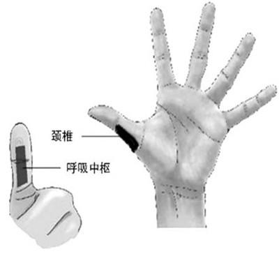正确给老人做手部按摩方法（正确给老人做手部按摩方法图片）