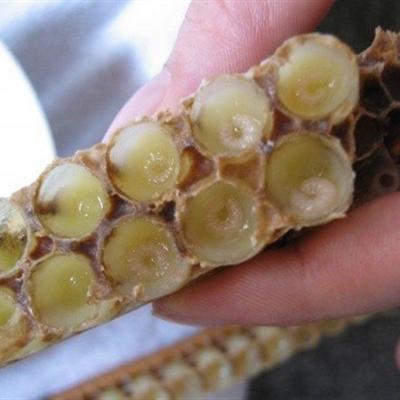 蜂王浆的副作用有什么（蜂王浆的副作用有什么危害）
