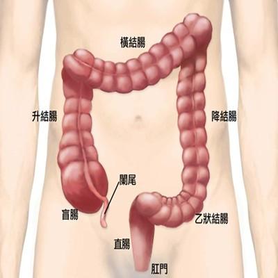 直肠癌术后吃什么好（直肠癌术后吃些啥比较好）
