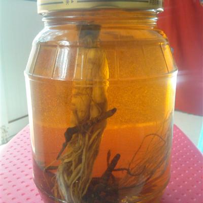 金樱子泡酒效果好吗（金樱子泡酒效果好吗怎么泡）