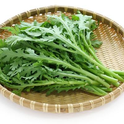 肠胃不好怎么调理（肠胃不好怎么调理吃光明益生菌）
