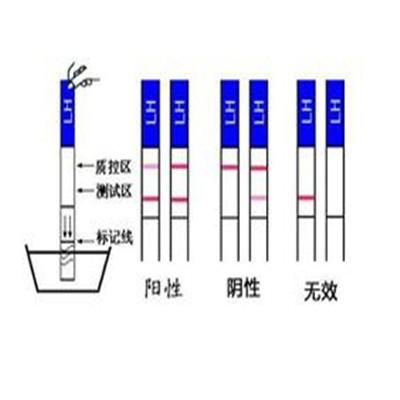 排卵试纸怎么使用 排卵试纸怎么使用视频