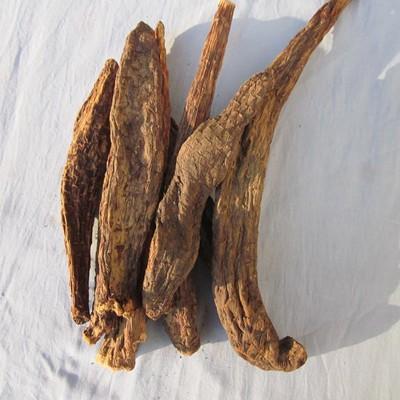 肉苁蓉有哪些副作用 肉苁蓉有哪些副作用和禁忌