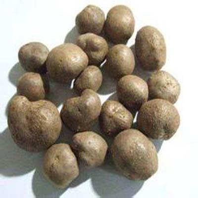山药豆的皮能吃吗（山药豆的皮能吃么）