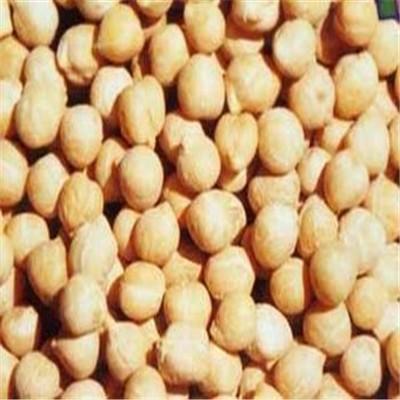 鹰嘴豆一次食用量是多少 鹰嘴豆一次食用量是多少