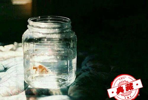 抑郁症的自我治疗之个人经验 抑郁症的如何自我治疗