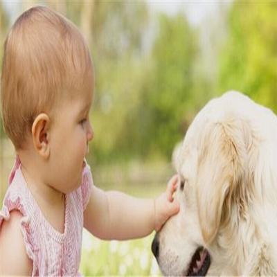 疥疮是怎么引起的（疥疮是怎么引起的如何治疗）