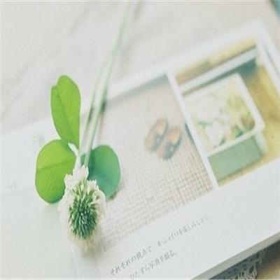 湿疹中药配方有哪些（湿疹中药配方）