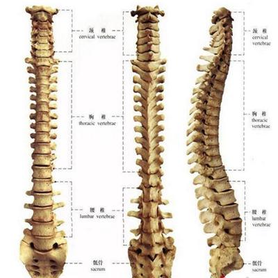 腰间盘突出最佳治疗 腰间盘突出最佳治疗方法健身操