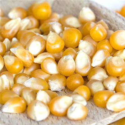 指甲凹陷是怎么回事（左手无名指指甲凹陷是怎么回事）