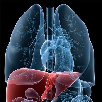 乙肝病毒携带者能转阴吗 乙肝携带者怎么可以转阴