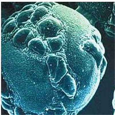 肺炎支原体抗体阳性1：40+是什么病（肺炎支原体抗体阳性1:40 是什么病症）