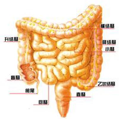 结肠炎早期症状有哪些（结肠炎的早期症状结肠炎什么症状）