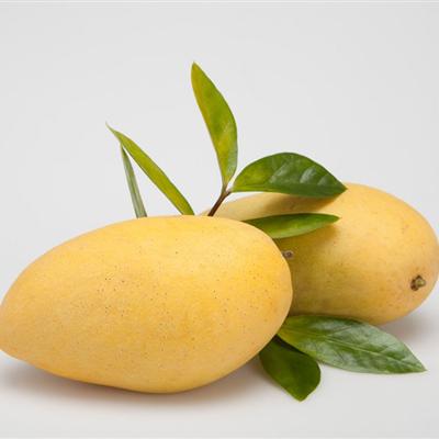 吃芒果过敏怎么治疗 吃芒果过敏怎么治疗?