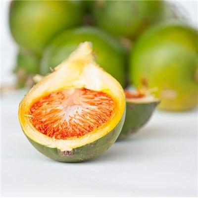 脸上长斑怎么内调 脸上长斑怎么内调效果好吃什么中药吗