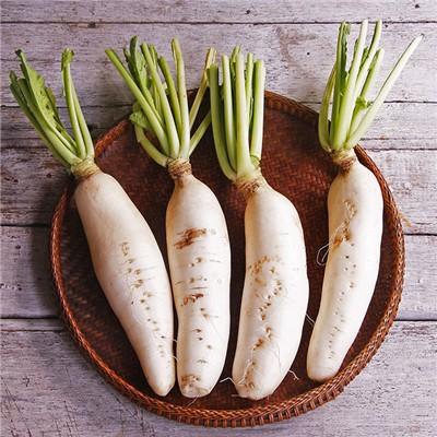 肠癌晚期患者的饮食注意什么（直肠癌晚期患者饮食应该注意什么）