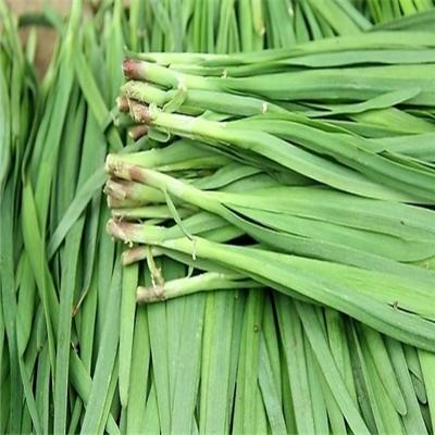 肾结石吃什么菜 肾结石吃什么菜和肉最好