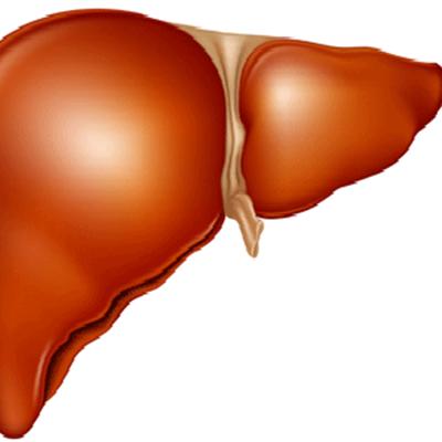 肝癌最多能活多久（肝癌最多能活多久?肝癌中期有救吗）