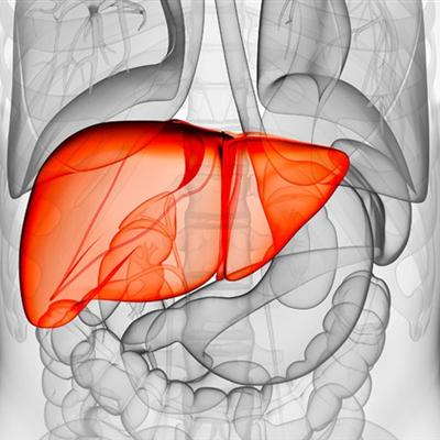 轻度脂肪肝怎么办（女人轻度脂肪肝怎么办）