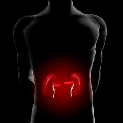 肾盂肾炎能活多久（慢性肾盂肾炎能活多久）