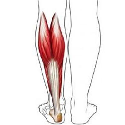 精索静脉曲张的原因有哪些（导致精索静脉曲张的原因有哪些）