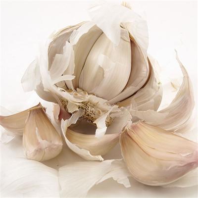 感冒了吃什么好的快 土方感冒了吃什么好的快